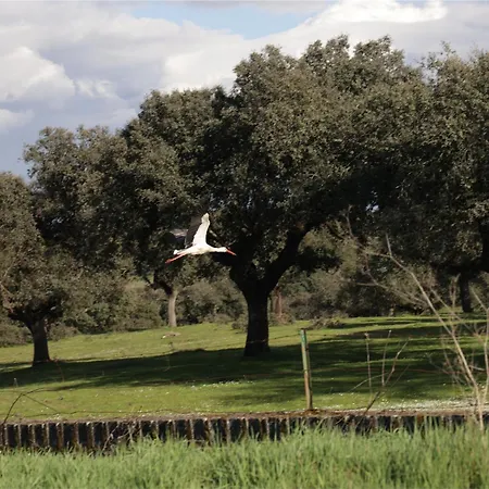 Kır Evi La Almazara Del Cristo