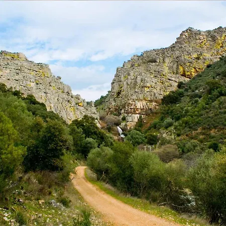 La Almazara Del Cristo