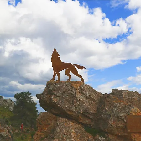 La Almazara Del Cristo *