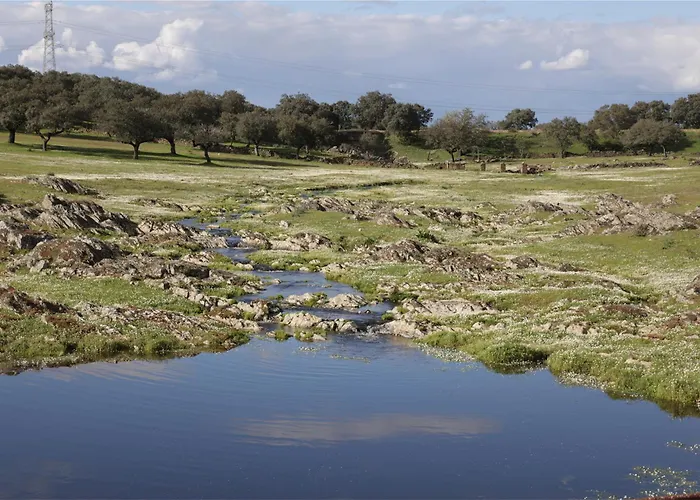 Venkovský dům La Almazara Del Cristo *