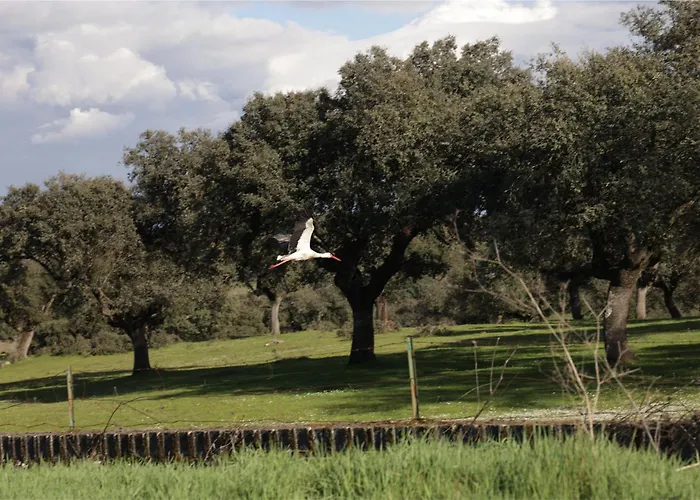 Venkovský dům La Almazara Del Cristo