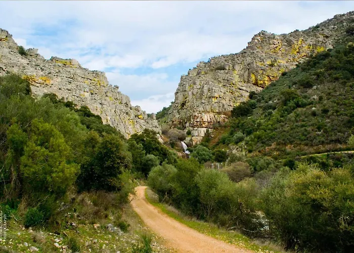 La Almazara Del Cristo